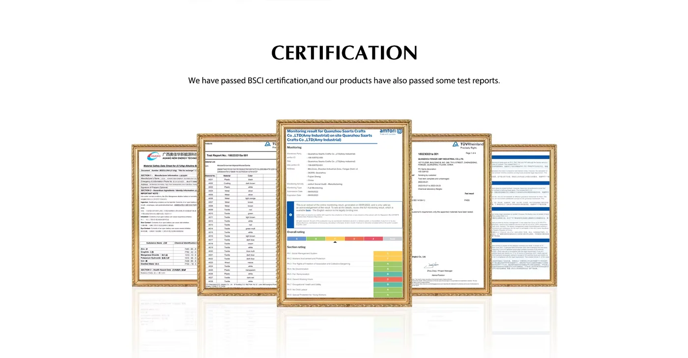 Ever Fly compliance document preview 3